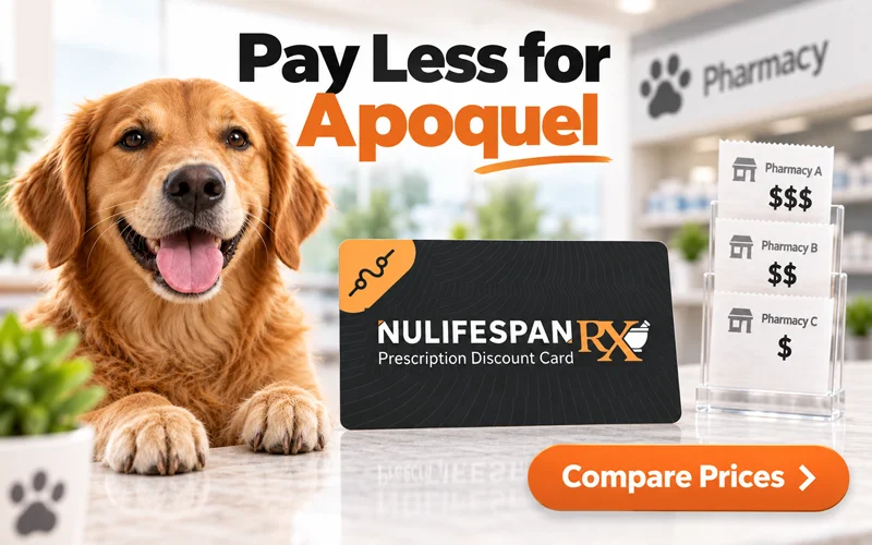 Compare RX card prices