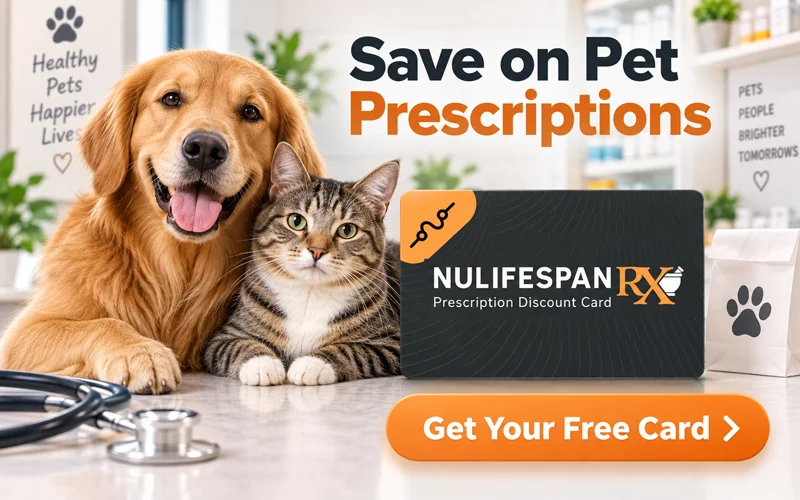 Prescription discount card
