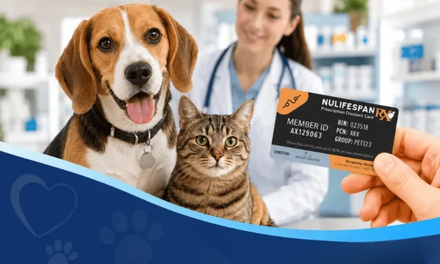 Veterinary Prescription Discount Cards Compared for Pet Owners