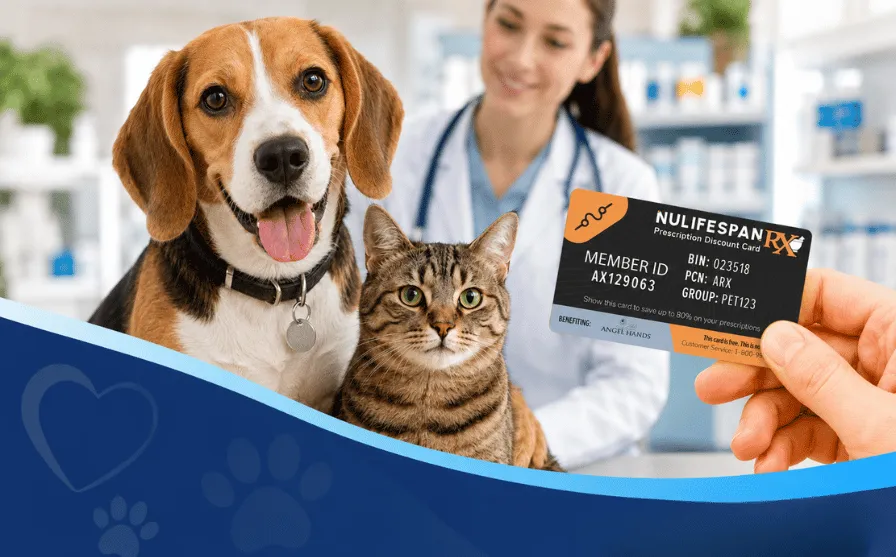 Veterinary Prescription Discount Cards Compared for Pet Owners