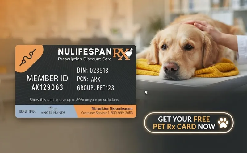 Why Veterinary Prescriptions Can Be Expensive 
